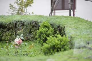 Апартаменты Apartment Gara Котор Апартаменты с видом на море-8